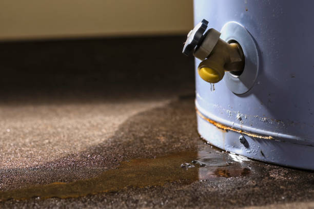 Best Water damage mitigation services  in Iceville, AL