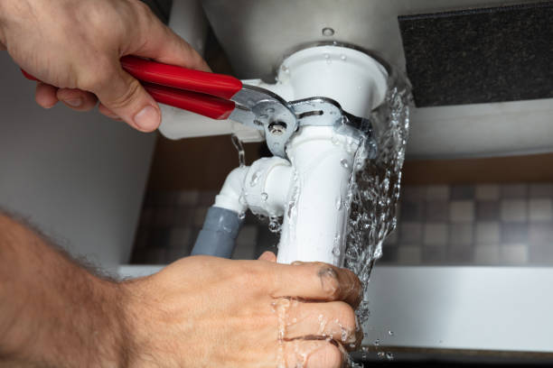 Best Professional water damage repair  in Iceville, AL