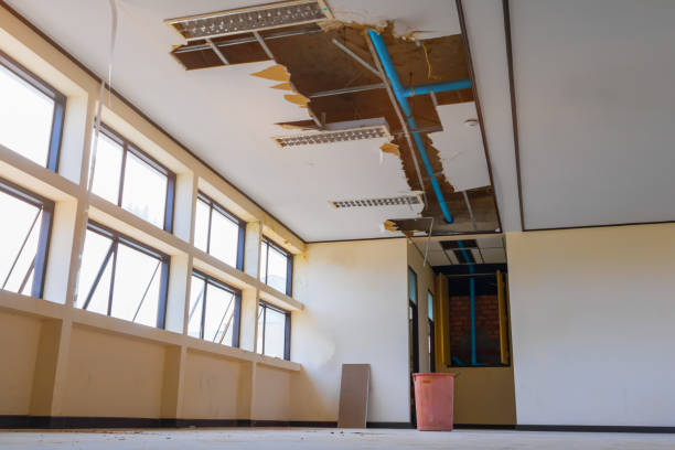 Best Water damage restoration insurance claims  in Iceville, AL
