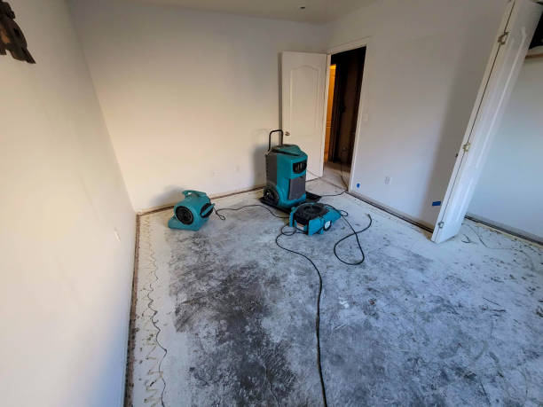 Best Commercial water damage restoration  in Iceville, AL