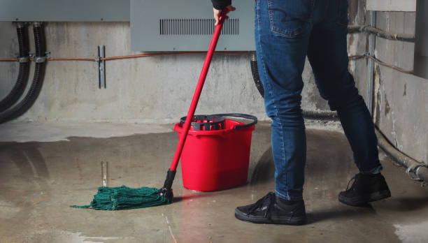Best Flooded house restoration  in Iceville, AL