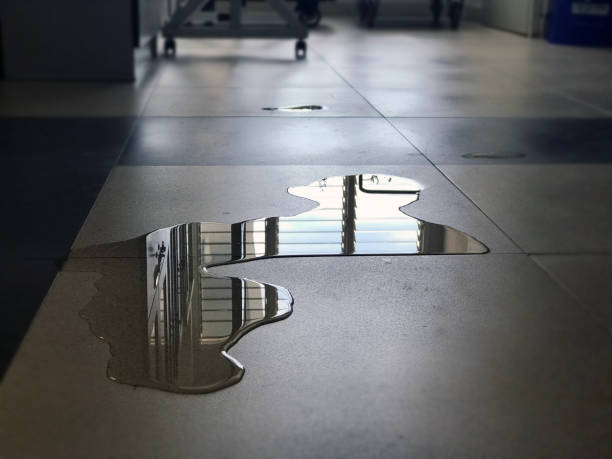 Best Water damage contractors near me  in Iceville, AL