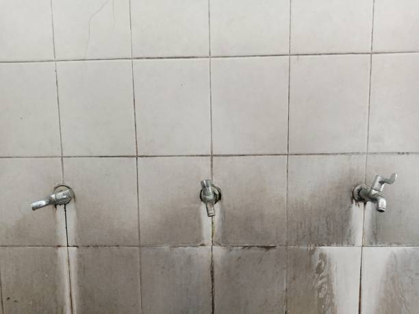 Best Basement water damage restoration  in Iceville, AL