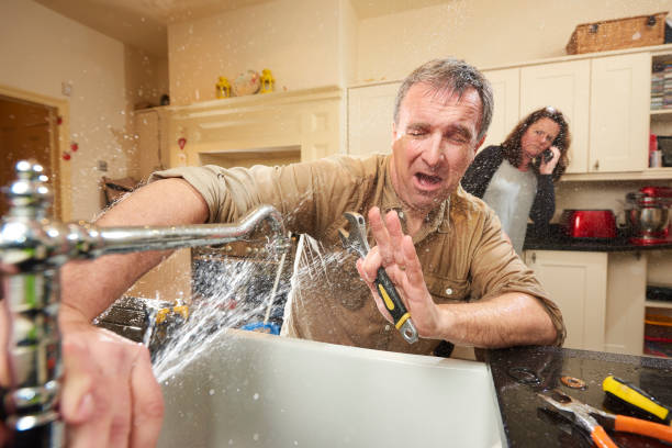 Best Mold removal after water damage  in Iceville, AL